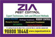 Zia Pest control | Garden pest Cleaning | Special Discount 25% Off | 5